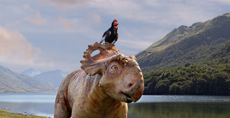 Кадр из фильма Прогулки с динозаврами 3D
