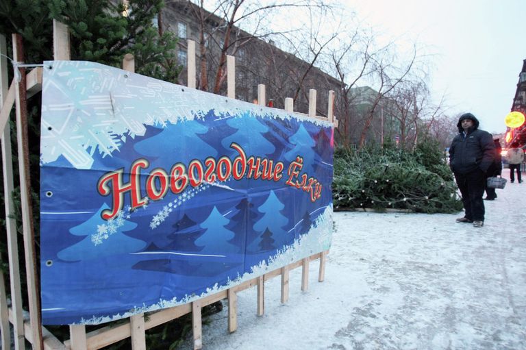 Продажа новогодних елей на улице в Новосибирске Продажа новогодних елей на улице в Новосибирске