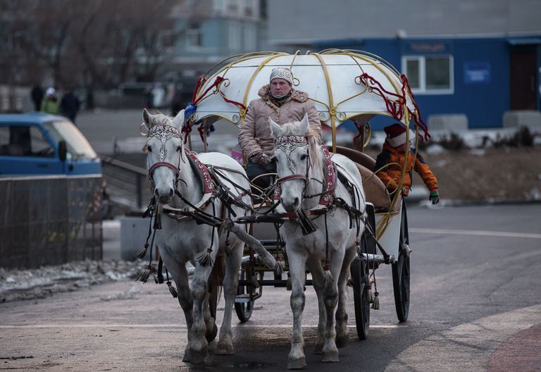 Новый год во Владивостоке: люди, лошади, концерты Новый год во Владивостоке: люди, лошади, концерты