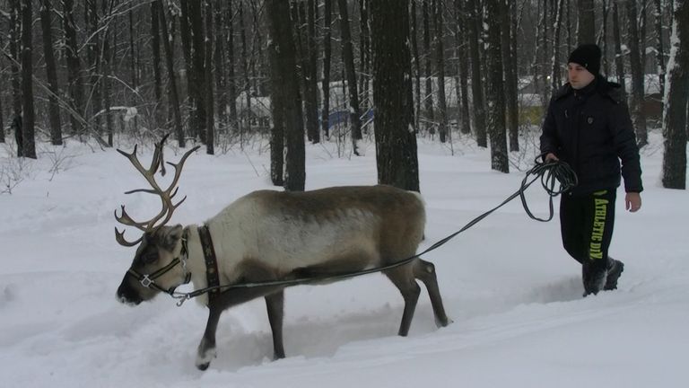 Северный олень Санта обосновался в Самаре