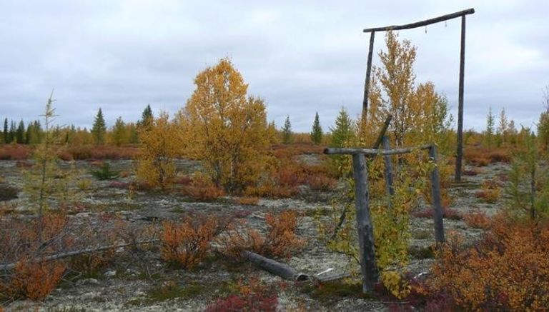 Шесты и брусья на спортивной площадке одного из исправительно-трудовых лагерей вдоль Северной железной дороги Шесты и брусья на спортивной площадке одного из исправительно-трудовых лагерей вдоль Северной железной дороги