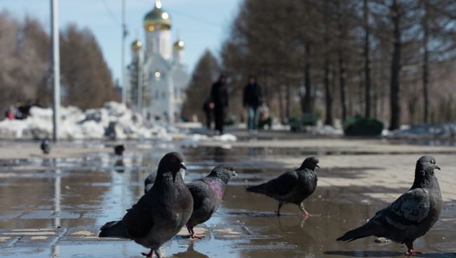 Весенним днем в Новосибирске, фото из архива Весенним днем в Новосибирске, фото из архива