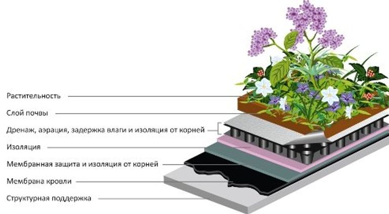 Панда-дом: проект самого зеленого здания в России Панда-дом: проект самого зеленого здания в России