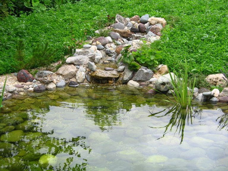 Искусственный водоем: спасение от жары, место для отдыха и украшение дачи