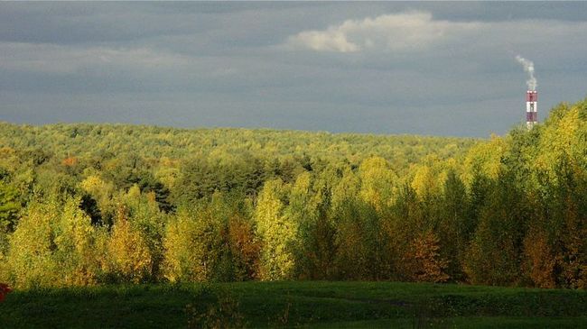 Битцевский парк