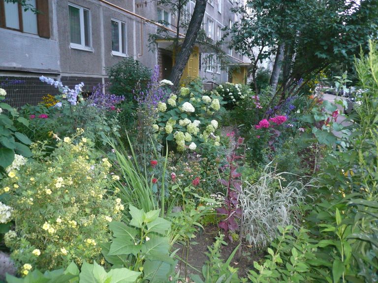Сад жительницы дома в районе Чертаново Центральное Сад жительницы дома в районе Чертаново Центральное