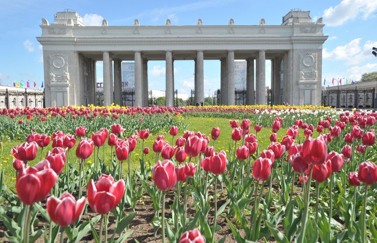 Центральный парк культуры и отдыха Центральный парк культуры и отдыха