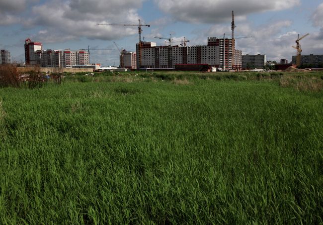 Города России. Благовещенск Города России. Благовещенск
