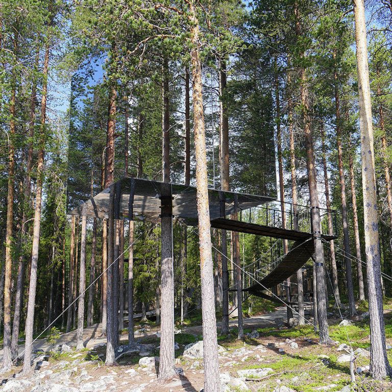 Treehotel в Швеции Treehotel в Швеции