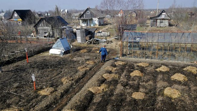 Начало дачного сезона Начало дачного сезона