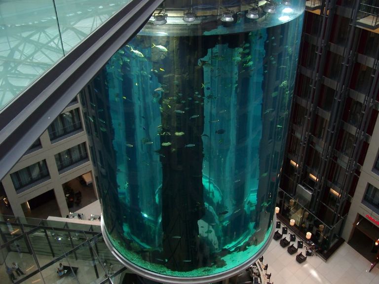 AquaDom в Берлине AquaDom в Берлине