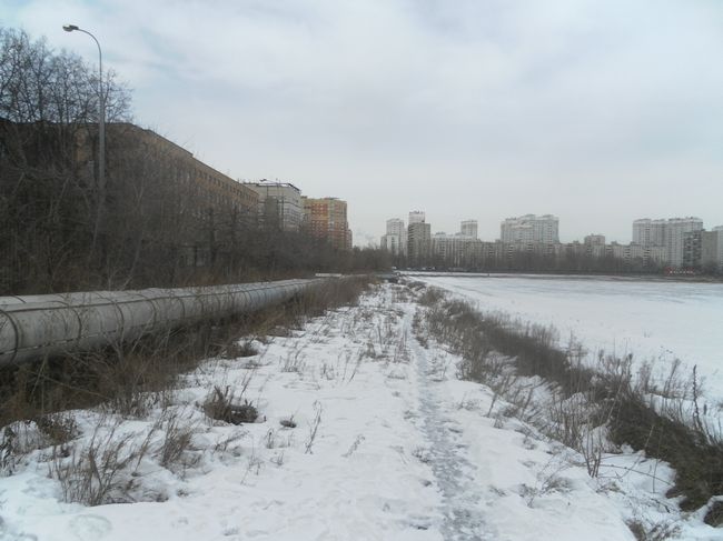 Земли академии имени Тимирязева в Москве