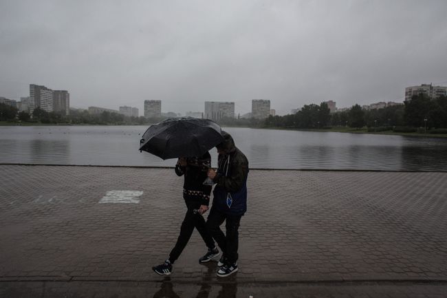 Дождь в Москве Дождь в Москве
