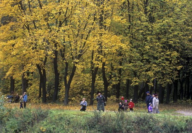 В парке Кусково