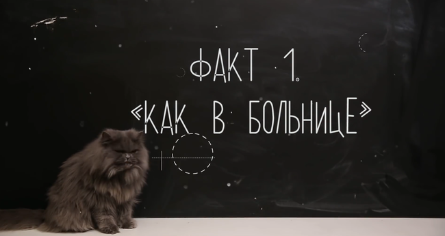 Белый цвет не как в больнице: разбиваем стереотипы