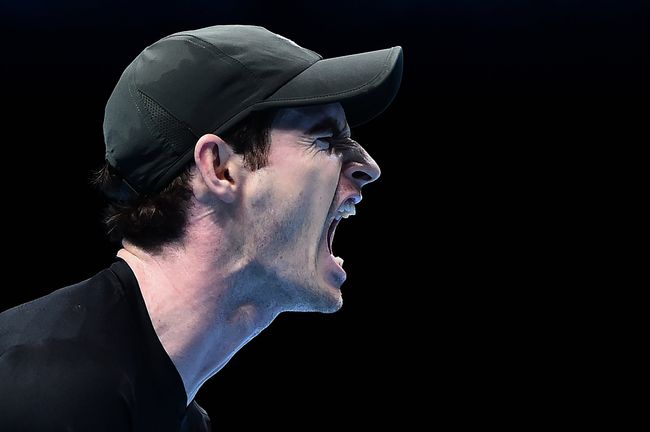 Энди Маррей в матче против Кэя Нисикори на Итоговом турнире ATP в Лондоне