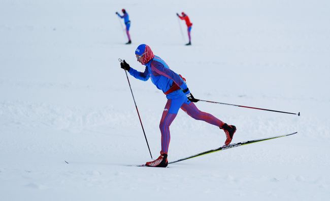Дмитрий Ростовцев