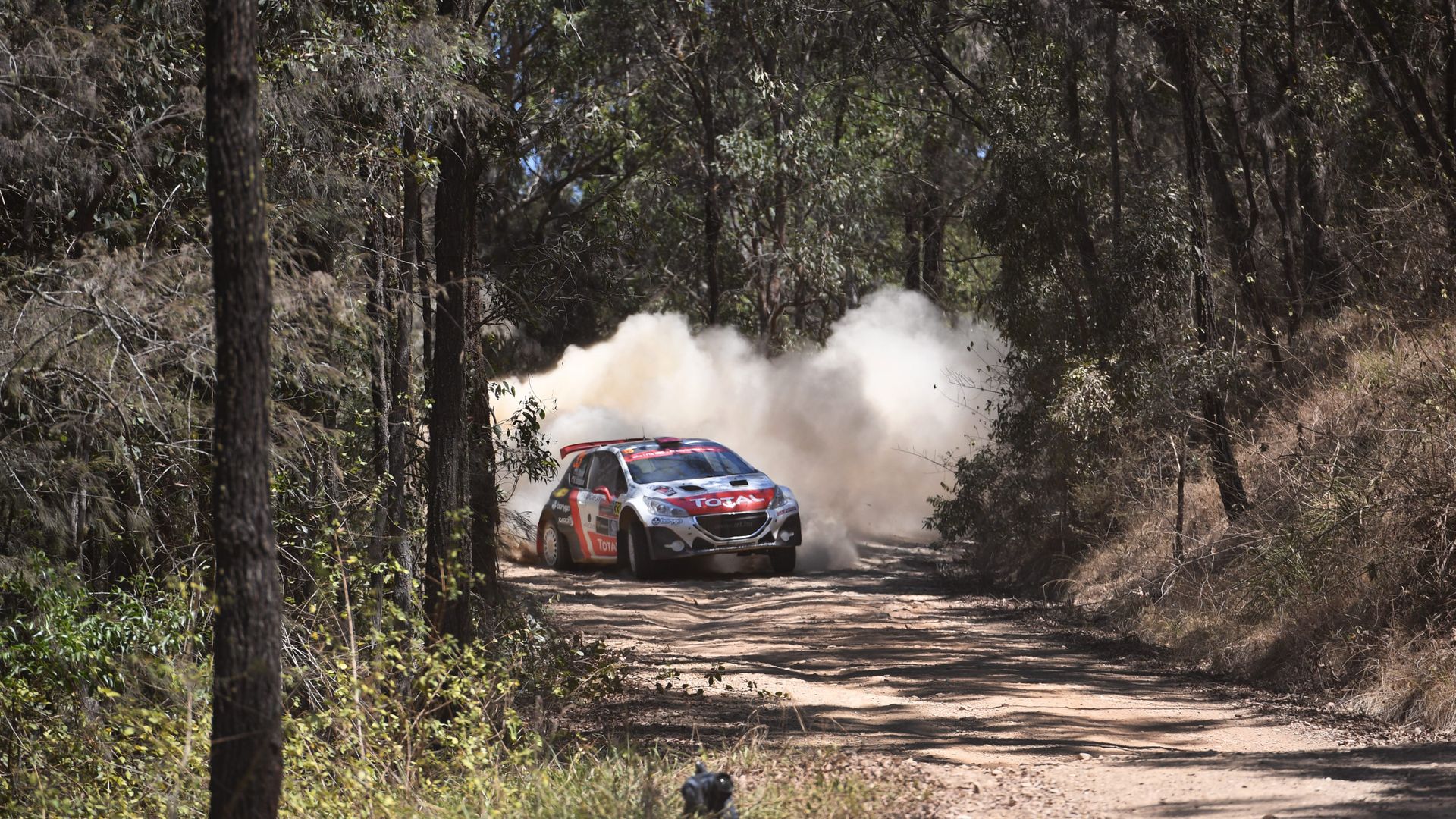 WRC - РИА Новости, 1920, 30.10.2020