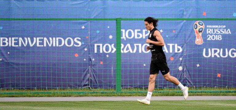 Форвард сборной Уругвая по футболу Эдинсон Кавани