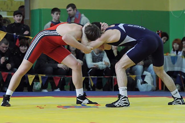 Чемпионат Московской области по греко-римской борьбе Чемпионат Московской области по греко-римской борьбе