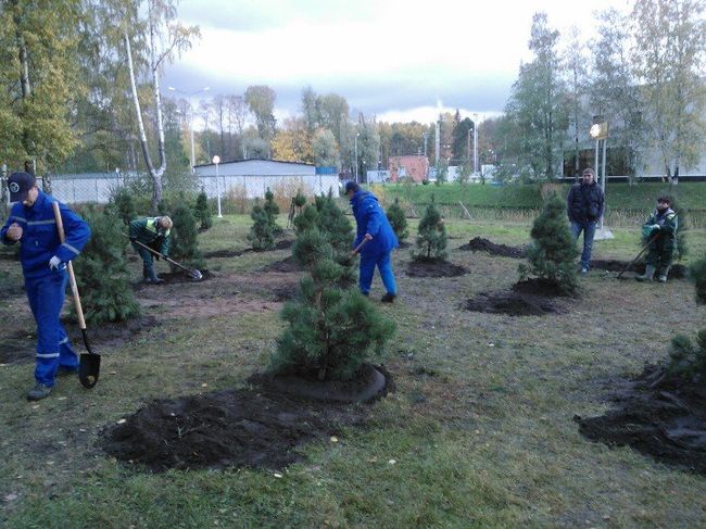 Футболисты Зенита