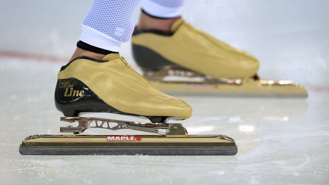 Конькобежный спорт Конькобежный спорт