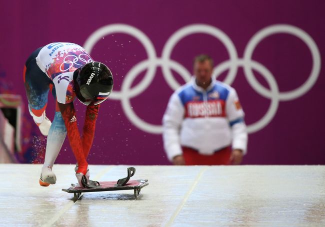 Елена Никитина