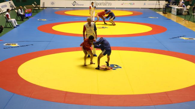 Чемпионат мира по самбо