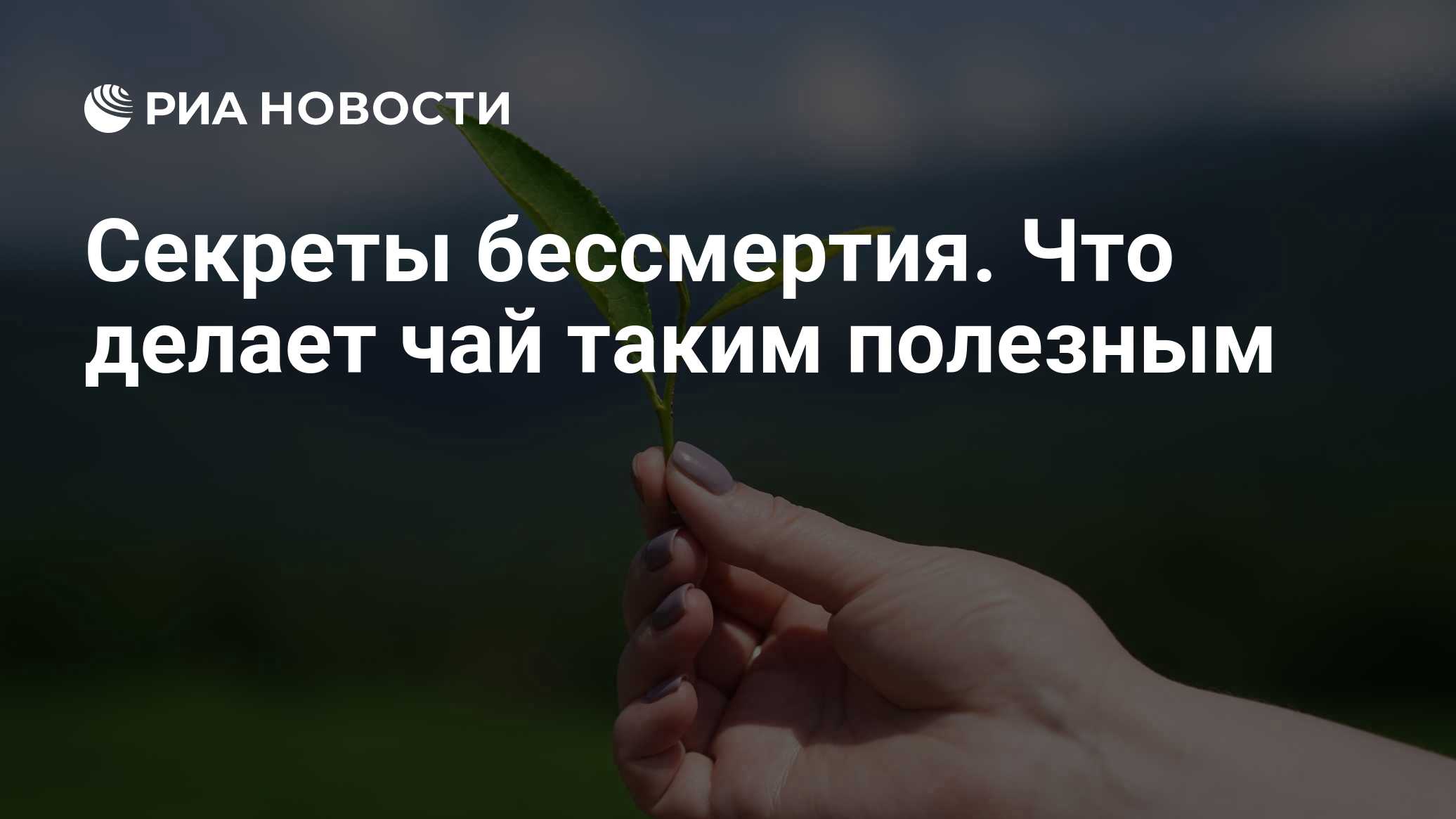 ria.ru