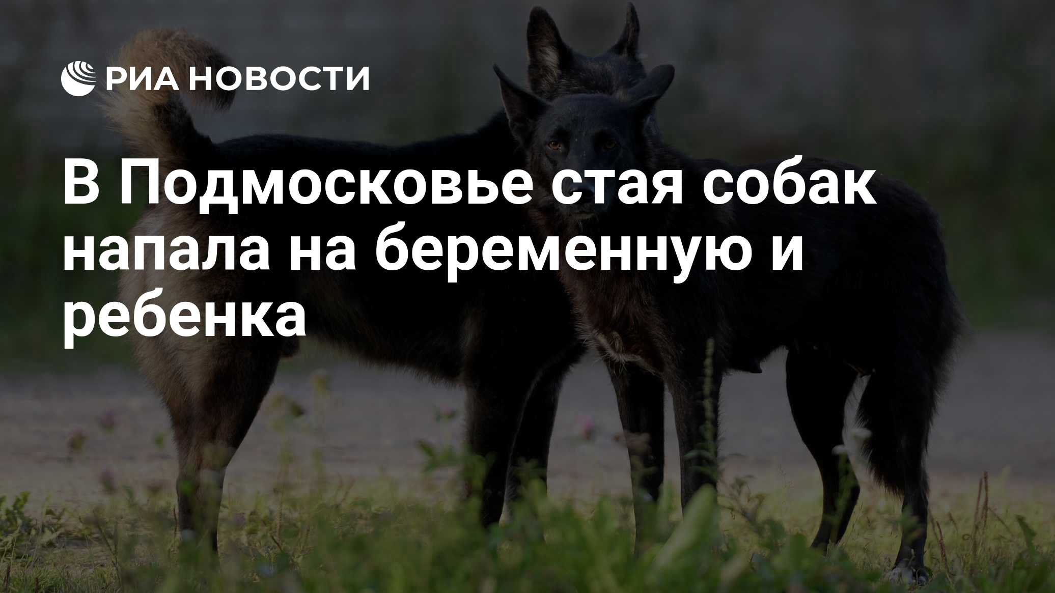 ria.ru