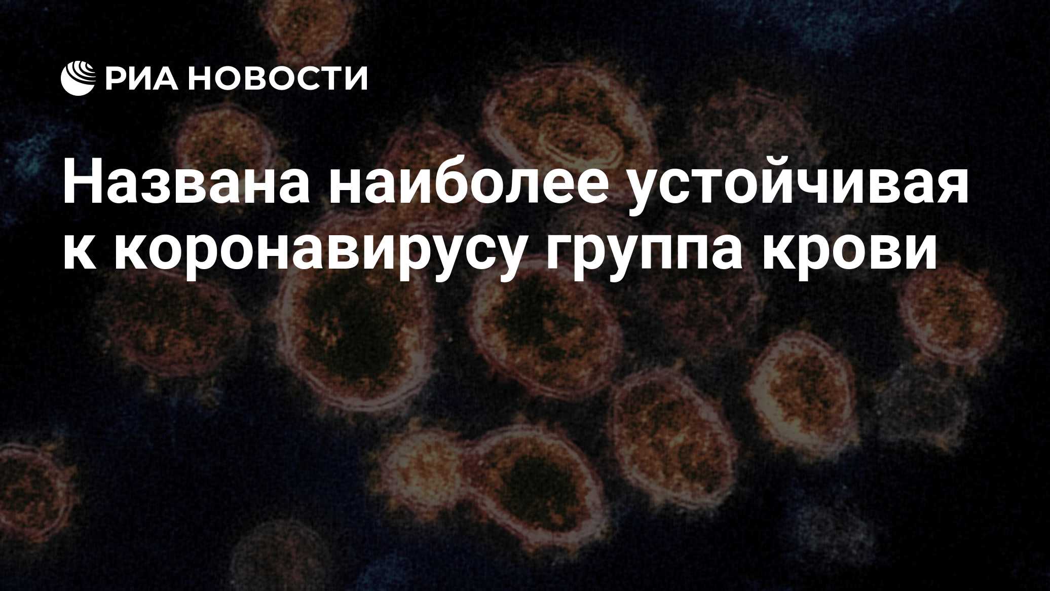 ria.ru