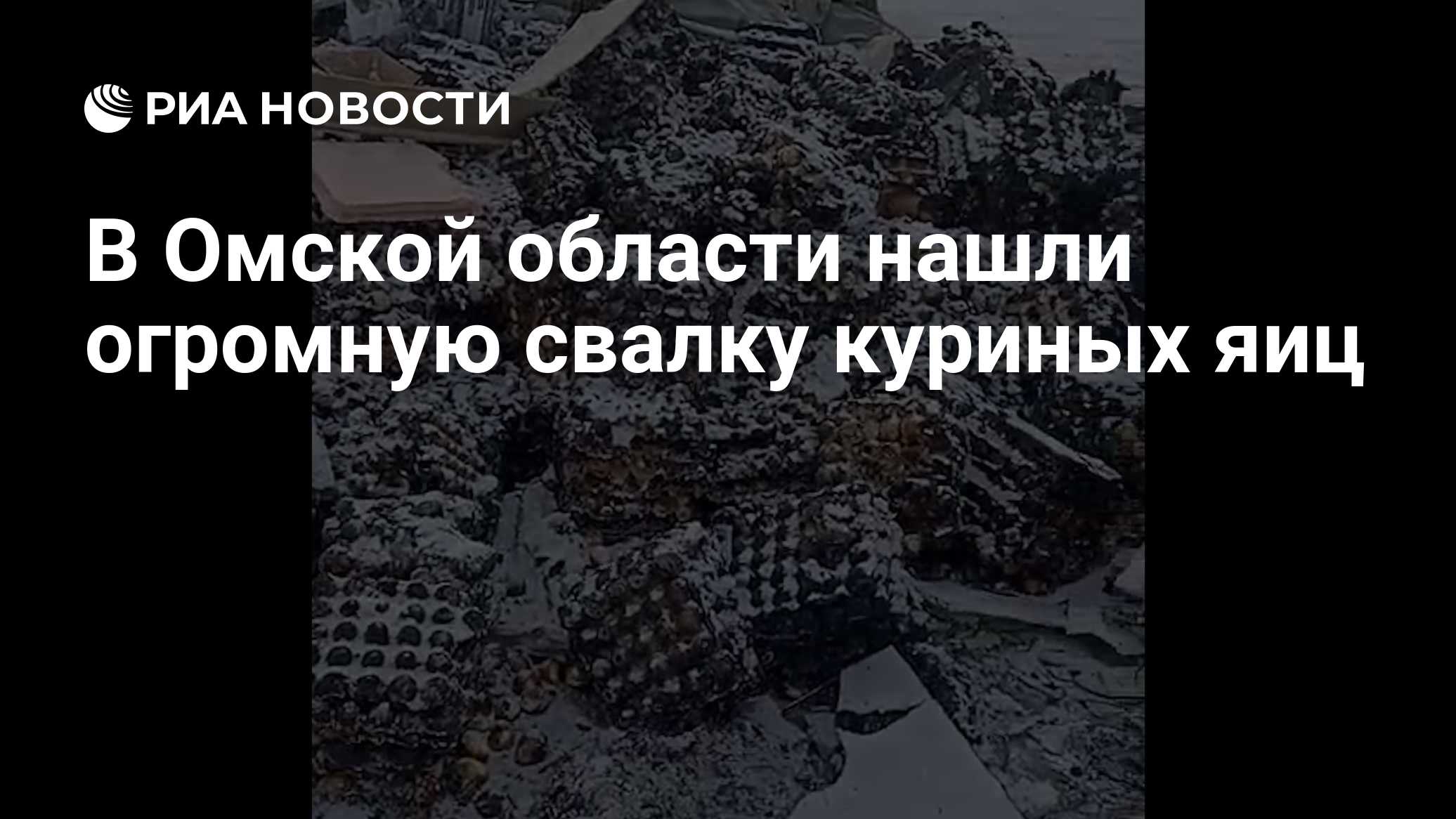 ria.ru