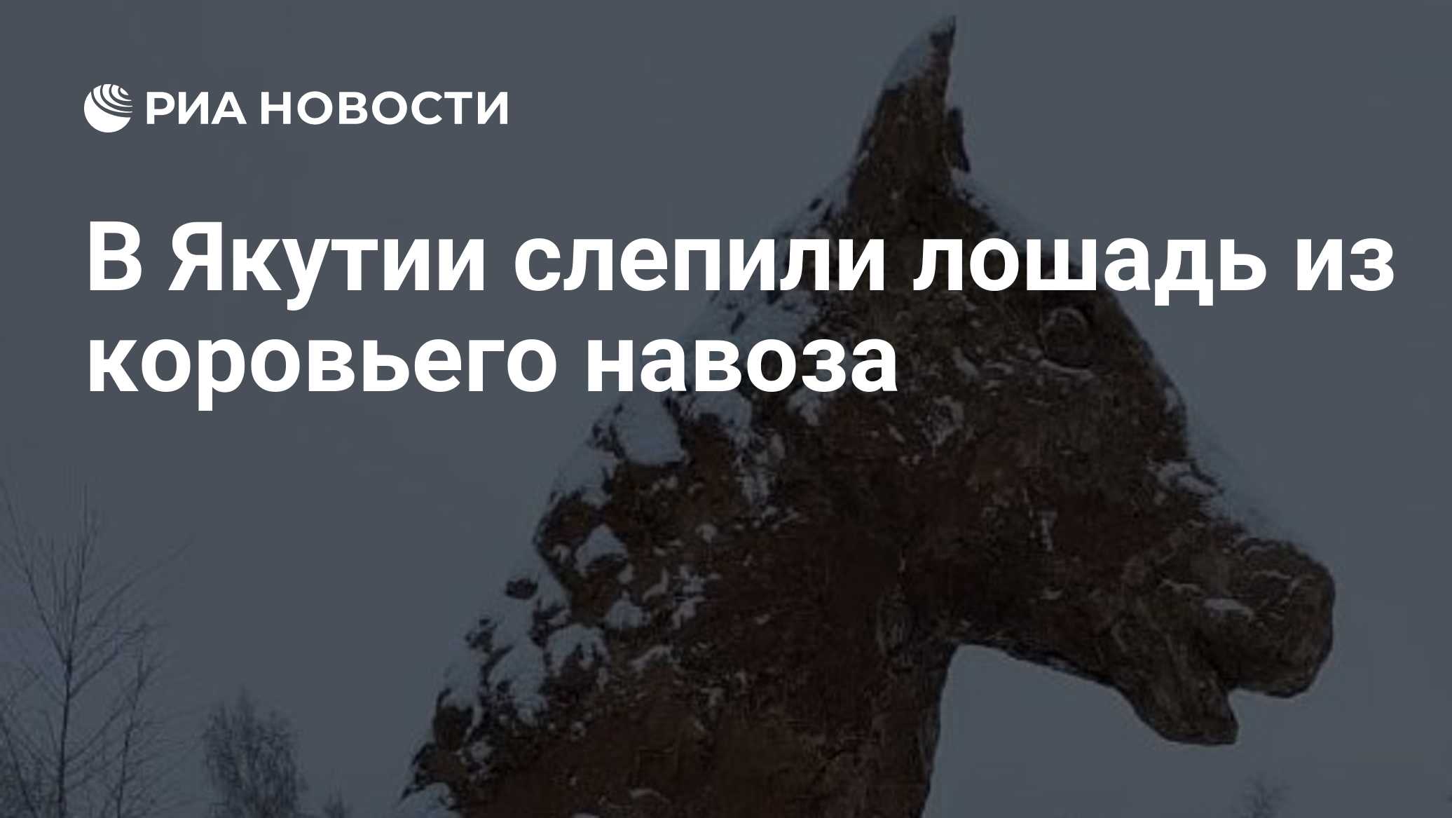 В Якутии слепили лошадь из коровьего навоза