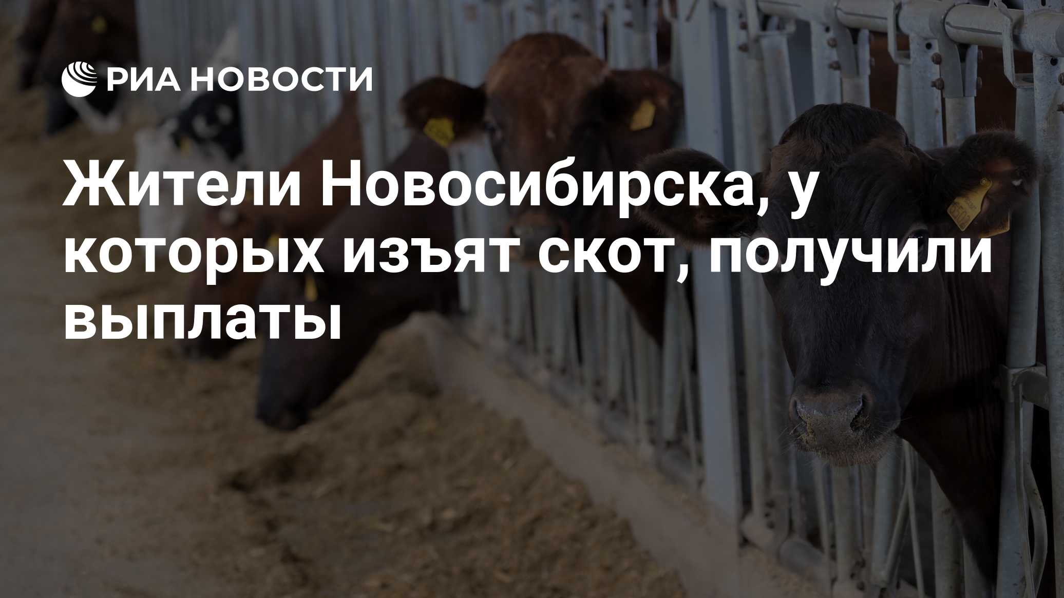 ria.ru