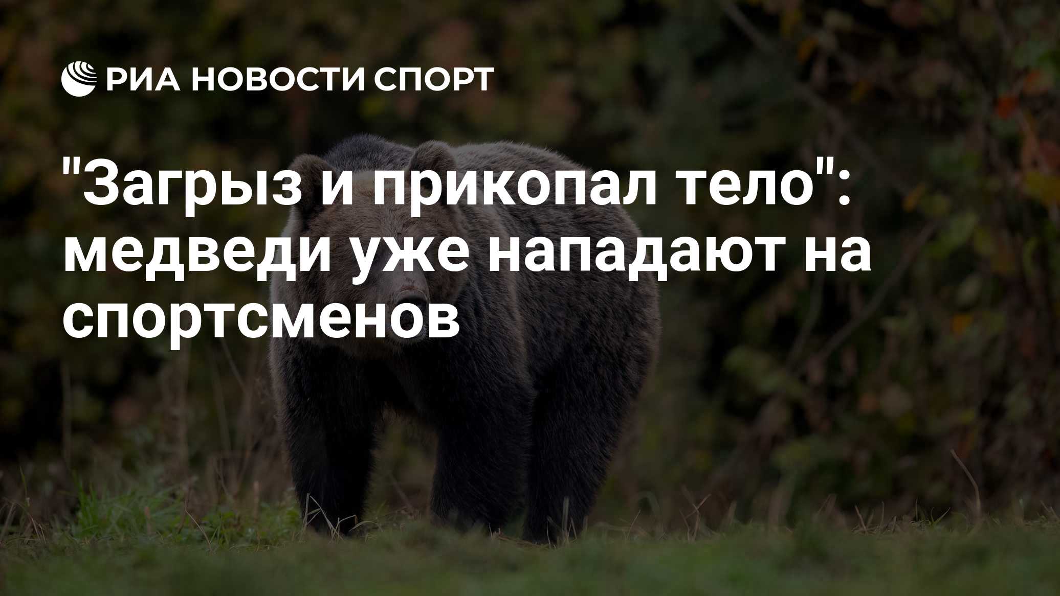 "Загрыз и прикопал тело": медведи уже нападают на спортсменов