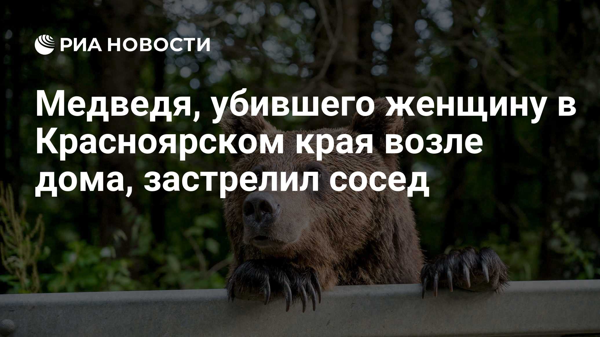 Медведя, убившего женщину в Красноярском края возле дома, застрелил сосед