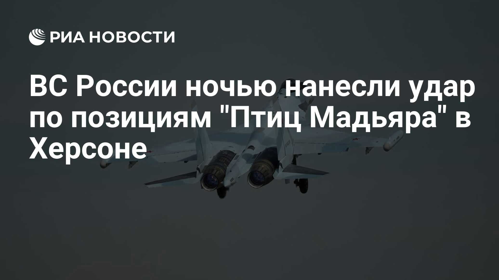 ВС России ночью нанесли удар по позициям "Птиц Мадьяра" в Херсоне