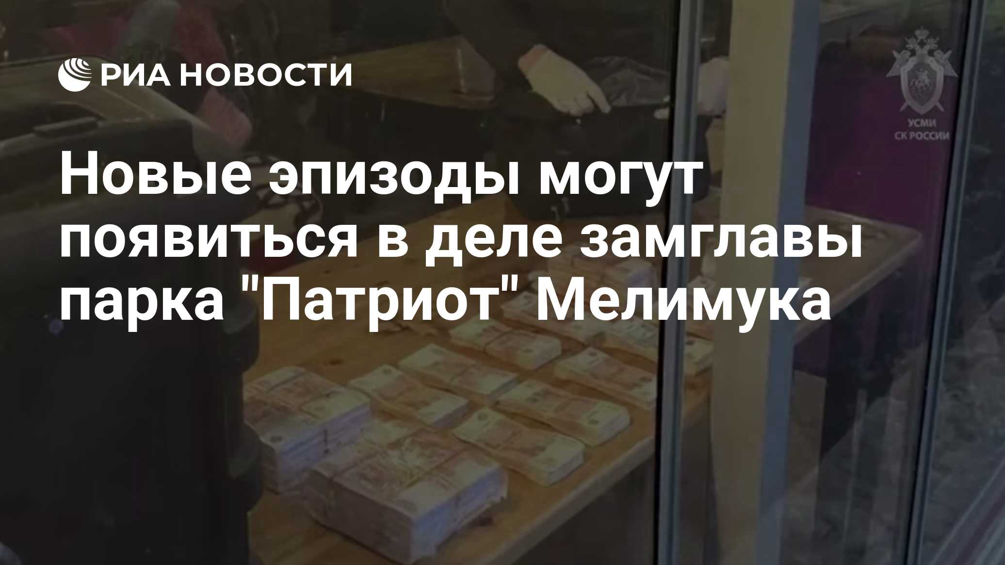 Новые эпизоды могут появиться в деле замглавы парка "Патриот" Мелимука