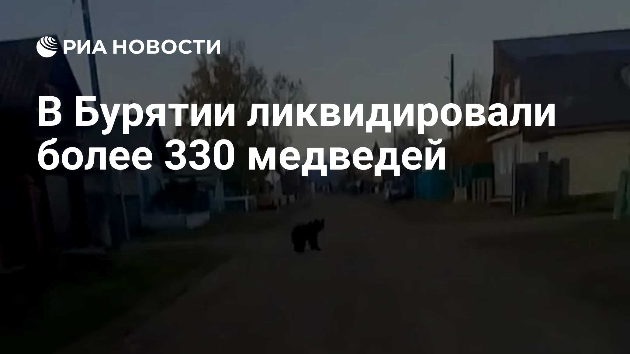 В Бурятии ликвидировали более 330 медведей