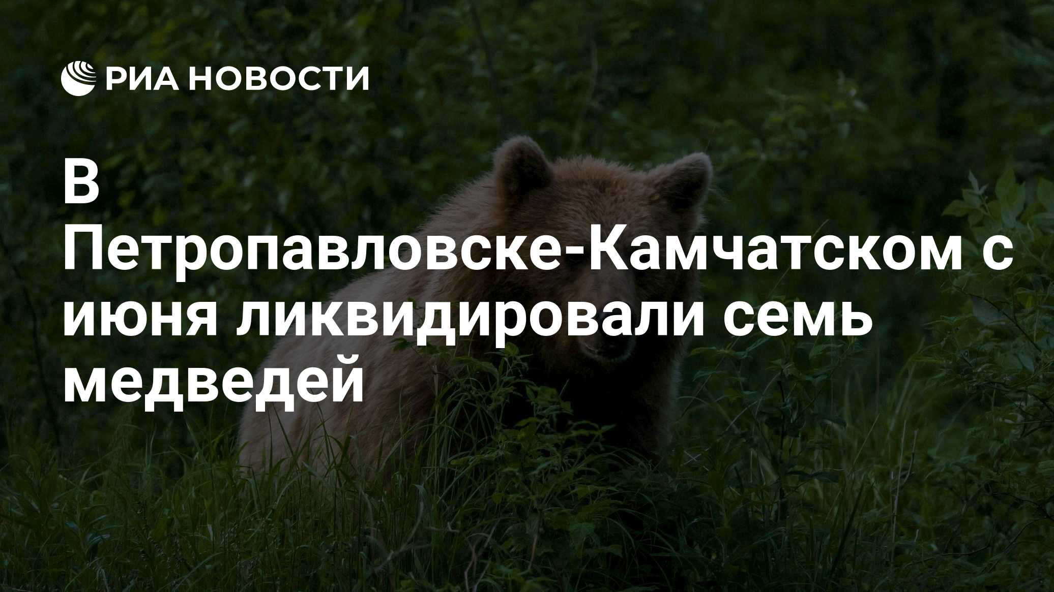 В Петропавловске-Камчатском с июня ликвидировали семь медведей
