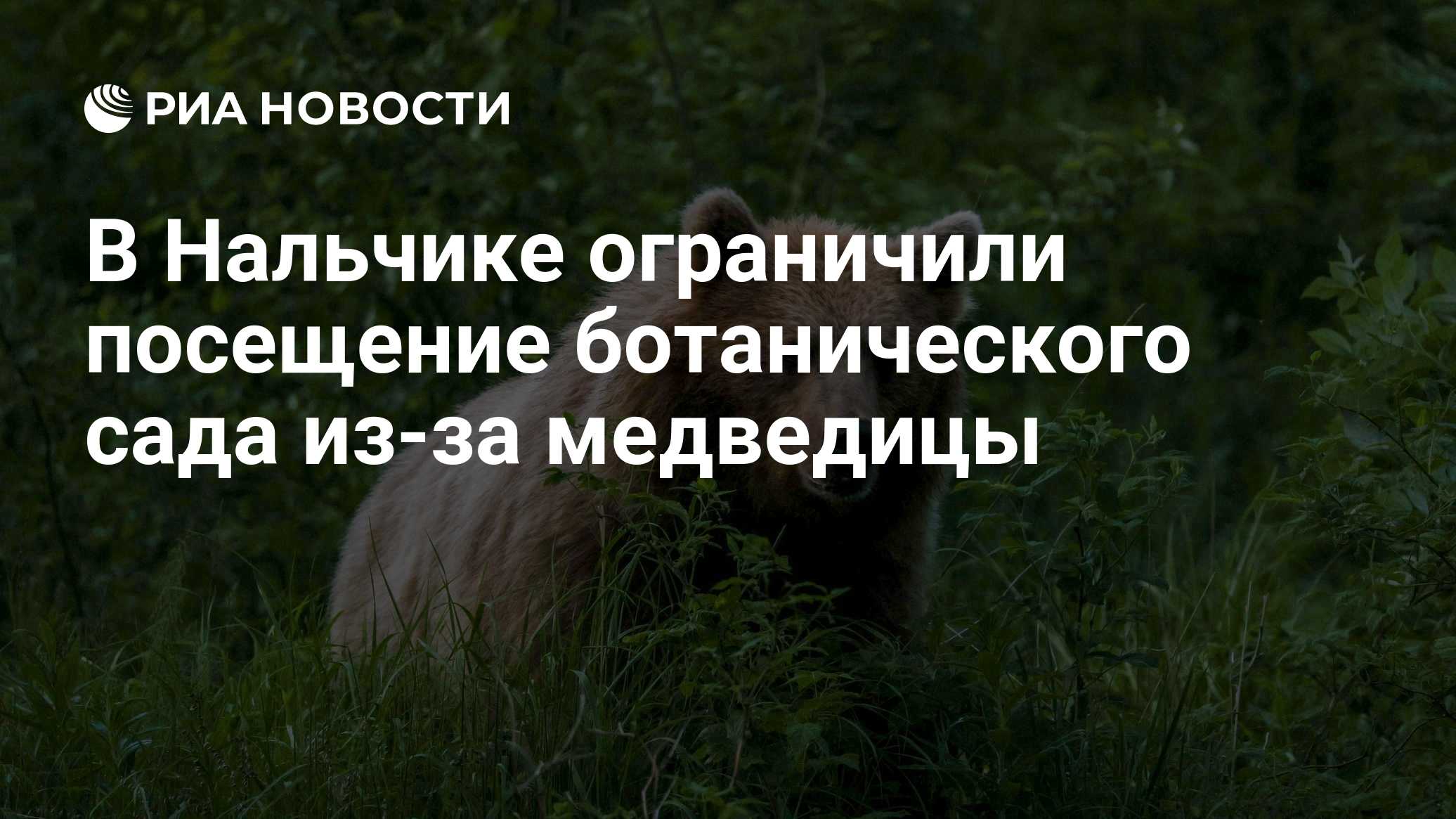В Нальчике ограничили посещение ботанического сада из-за медведицы