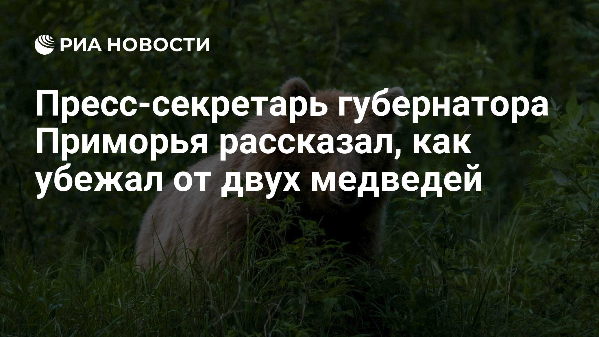 Пресс-секретарь губернатора Приморья рассказал, как убежал от двух медведей
