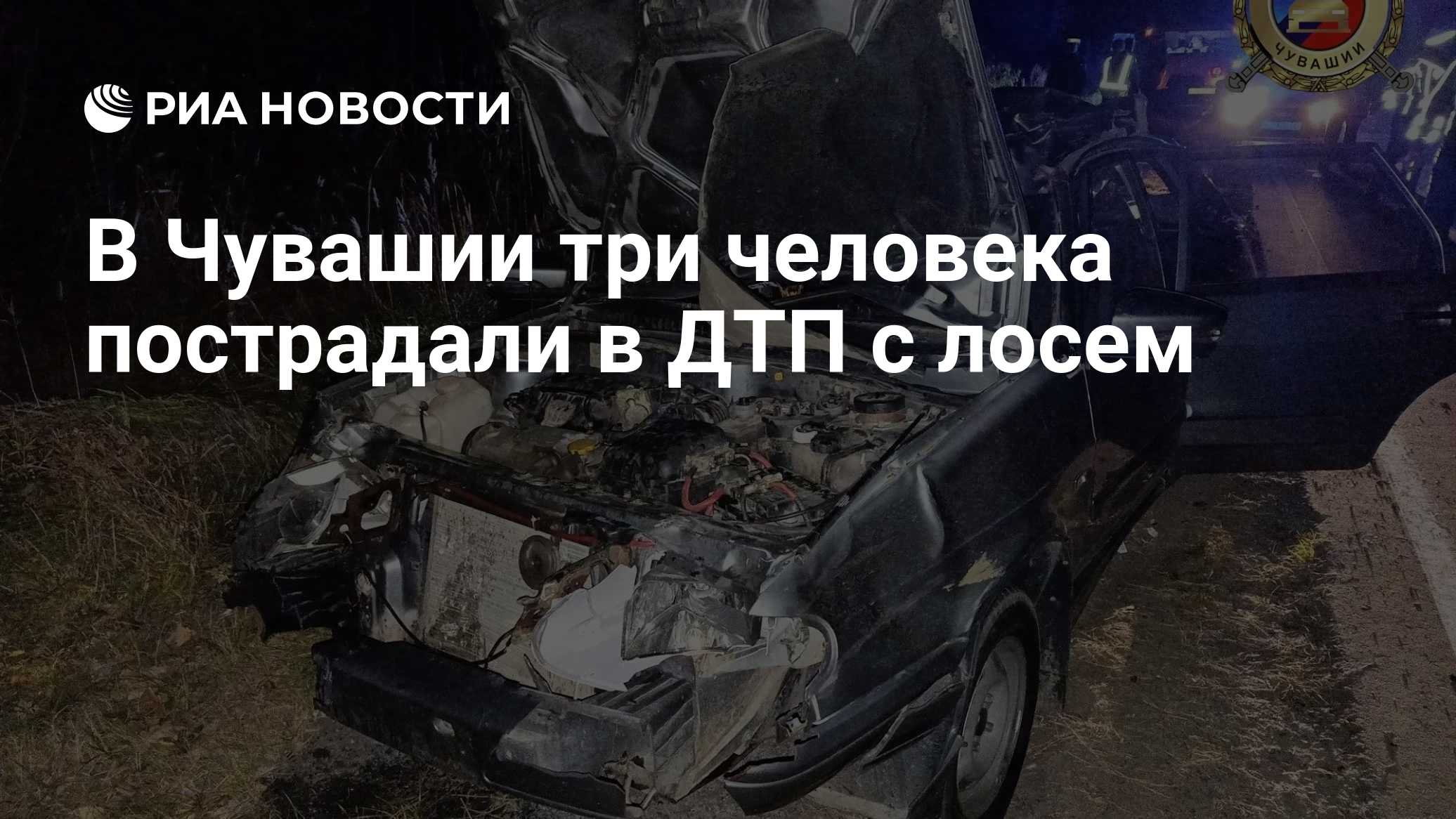 В Чувашии три человека пострадали в ДТП с лосем