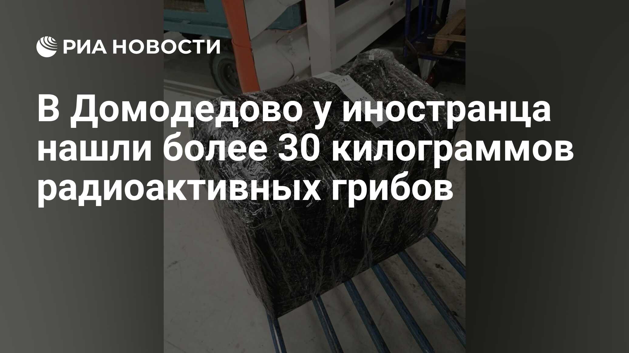 В Домодедово у иностранца нашли более 30 килограммов радиоактивных грибов
