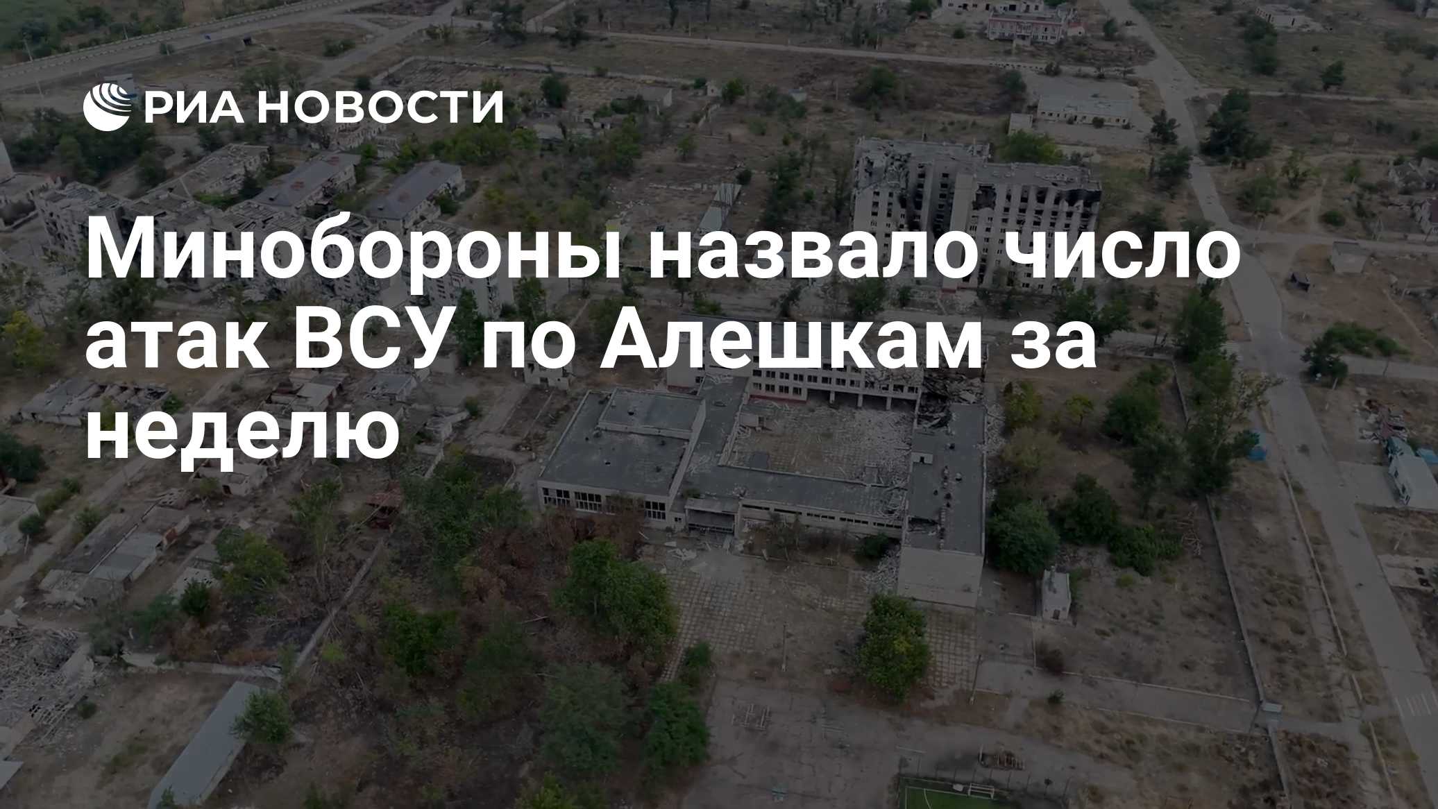 Минобороны назвало число атак ВСУ по Алешкам за неделю