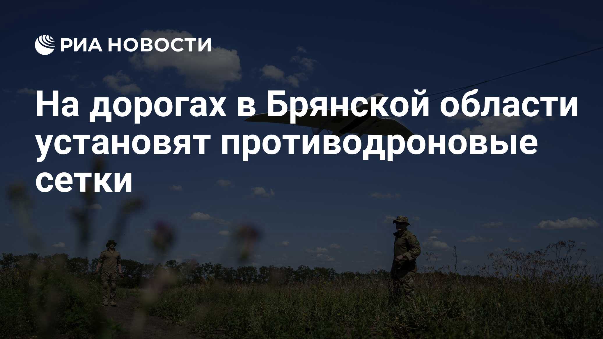 На дорогах в Брянской области установят противодроновые сетки