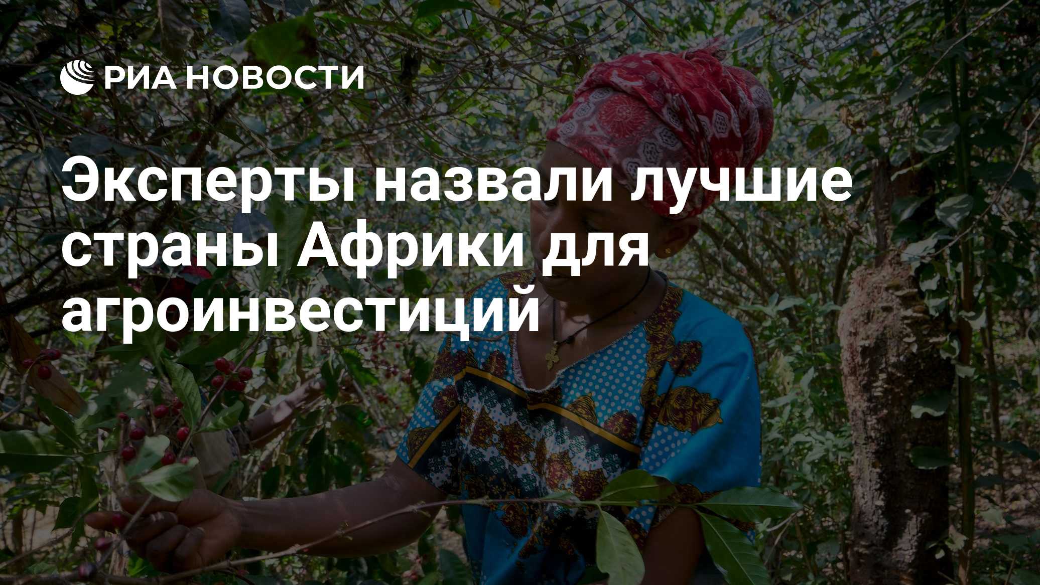 Эксперты назвали лучшие страны Африки для агроинвестиций
