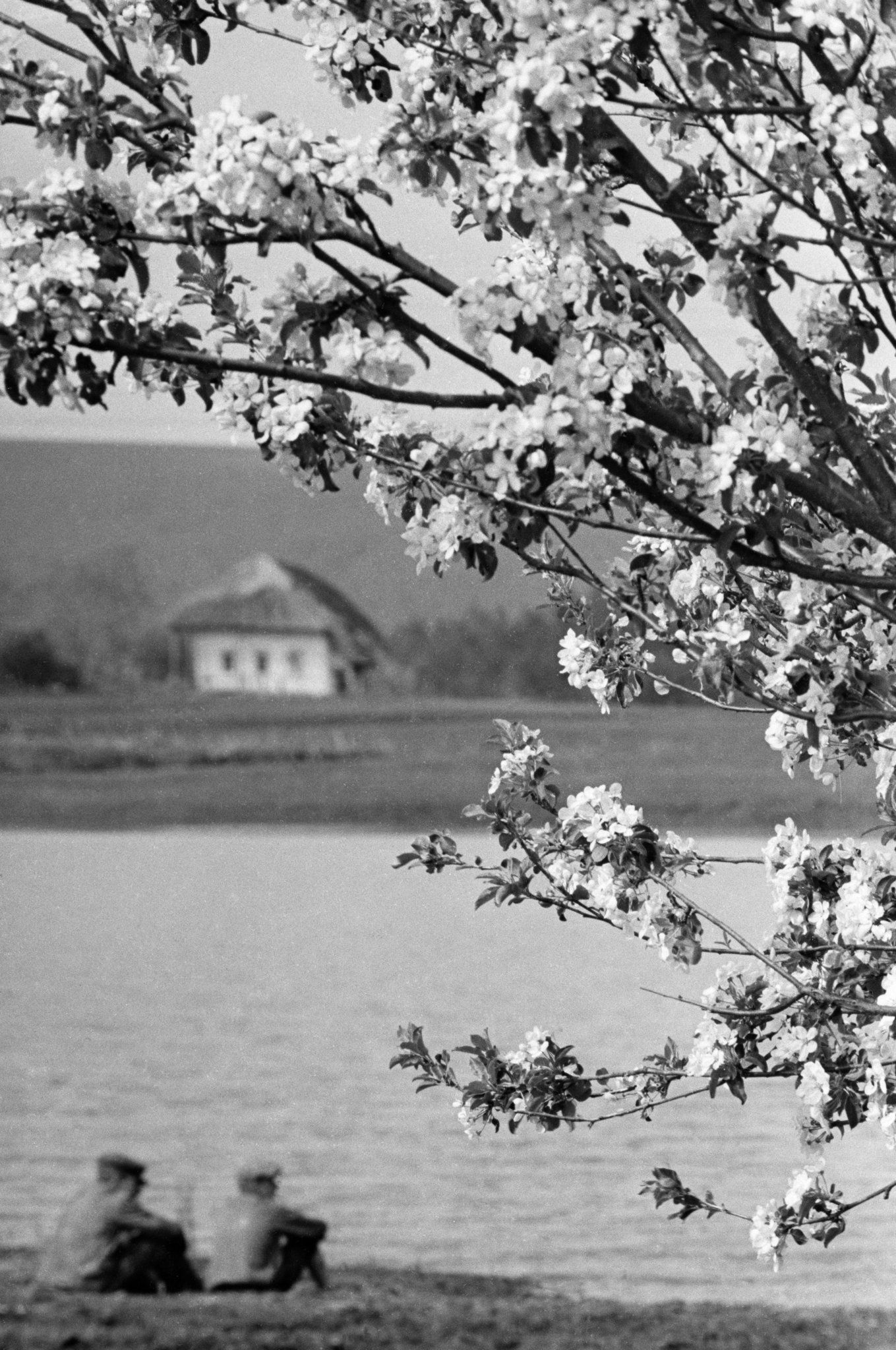 Весна на Украине, деревня Гетмановка. Май 1942 год Весна на Украине, деревня Гетмановка. Май 1942 год - РИА Новости, 1920, 29.03.2024