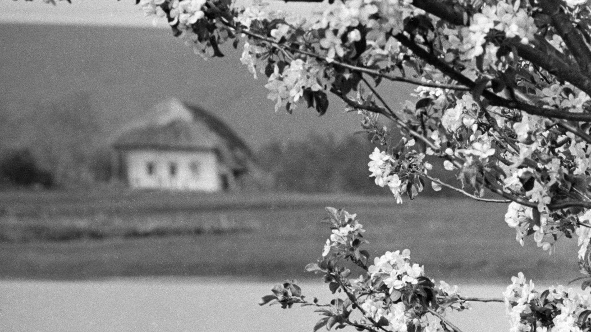 Весна на Украине, деревня Гетмановка. Май 1942 год Весна на Украине, деревня Гетмановка. Май 1942 год - РИА Новости, 1920, 22.06.2022